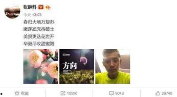 娱乐吃瓜张继科微博